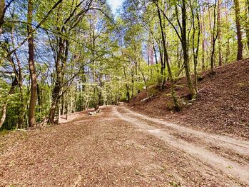 Příjezdová cesta - Prodej chaty / chalupy 32 m², Doubravník