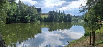 Prodej pozemku 5947 m², Přibyslav