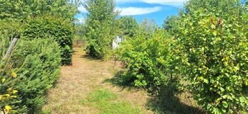 Prodej pozemku 5947 m², Přibyslav