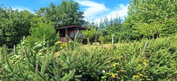 Prodej pozemku 5947 m², Přibyslav