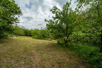 Prodej pozemku 3423 m², Nová Ves pod Pleší