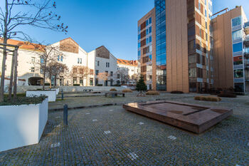 Pronájem bytu 2+kk v osobním vlastnictví 59 m², Praha 10 - Vinohrady