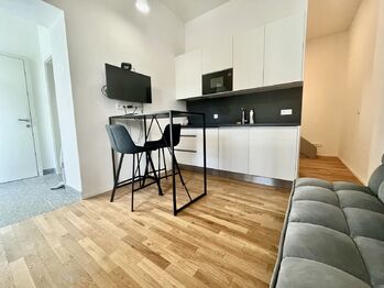Pronájem bytu 1+kk v osobním vlastnictví 30 m², Praha 7 - Holešovice