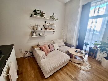 Pronájem bytu 1+kk v osobním vlastnictví 30 m², Praha 7 - Holešovice