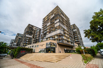 Pronájem bytu 1+kk v osobním vlastnictví 44 m², Praha 3 - Žižkov