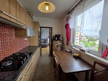 Pronájem bytu 3+1 v družstevním vlastnictví 68 m², Mohelnice