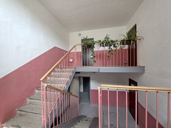 Pronájem bytu 3+1 v družstevním vlastnictví 68 m², Mohelnice