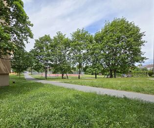 Pronájem bytu 3+1 v družstevním vlastnictví 68 m², Mohelnice