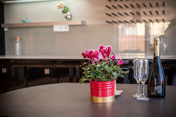 Pronájem bytu 2+kk v osobním vlastnictví 80 m², Praha 10 - Vinohrady