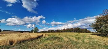 Za domem - Prodej domu 75 m², Drahany