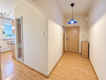 Prodej bytu 2+1 v družstevním vlastnictví 59 m², Český Těšín