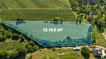 Prodej pozemku 12143 m², Lužany