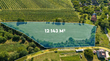 Prodej pozemku 12143 m², Lužany