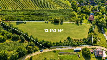 Prodej pozemku 12143 m², Lužany