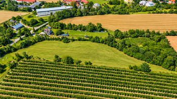 Prodej pozemku 12143 m², Lužany