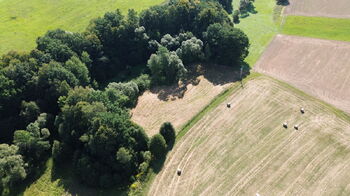 Prodej pozemku 7771 m², Sedliště