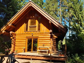 Prodej ubytovacího zařízení 83 m², Plavy