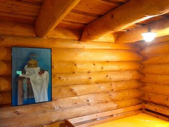 Prodej ubytovacího zařízení 83 m², Plavy