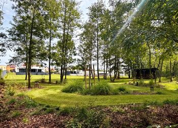 zahrada - parčík s osvětlením - Prodej domu 118 m², Krupka