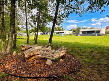 zahrada - parčík s osvětlením - Prodej domu 118 m², Krupka