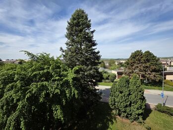 Pronájem bytu 2+1 v osobním vlastnictví 51 m², Mohelnice
