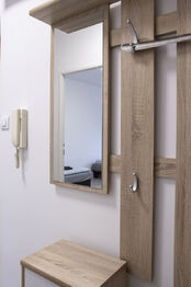 Prodej bytu 1+1 v osobním vlastnictví 39 m², Ostrava
