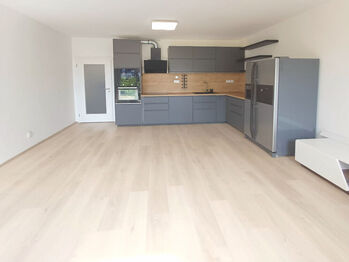 Pronájem bytu 2+kk v osobním vlastnictví 14304 m², Plzeň