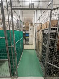 Pronájem bytu 2+kk v osobním vlastnictví 205 m², Plzeň
