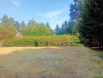 Pro rybáře: tímhle směrem je za silnicí řeka Úhlava - Prodej pozemku 422 m², Dolní Lukavice