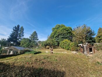 Prodej nájemního (činžovního) domu 384 m², Stonařov