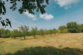 Prodej domu 77 m², Dlouhá Loučka