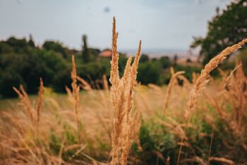 Prodej domu 77 m², Dlouhá Loučka