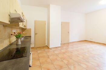 Pronájem bytu 1+1 v osobním vlastnictví 50 m², Malšice