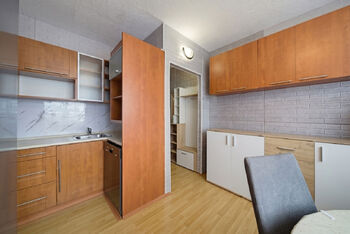 Pronájem bytu 1+1 v osobním vlastnictví 36 m², Ostrov