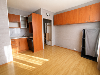 Pronájem bytu 1+1 v osobním vlastnictví 36 m², Ostrov