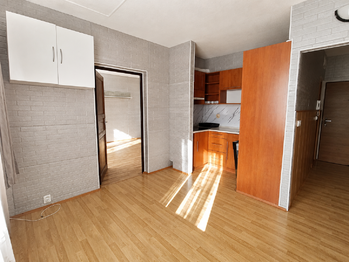 Pronájem bytu 1+1 v osobním vlastnictví 36 m², Ostrov