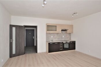 Pronájem bytu 1+kk v osobním vlastnictví 44 m², Plzeň
