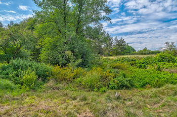 Prodej chaty / chalupy 47 m², Velký Bor