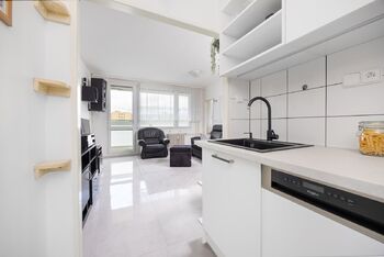 Kuchyně - Pronájem bytu 2+kk v družstevním vlastnictví 43 m², Praha 4 - Chodov