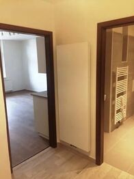 Pronájem bytu 2+kk v osobním vlastnictví 46 m², Praha 7 - Holešovice