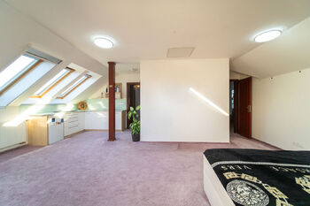 Prodej domu 346 m², Troubsko