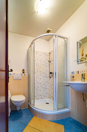 Prodej domu 346 m², Troubsko