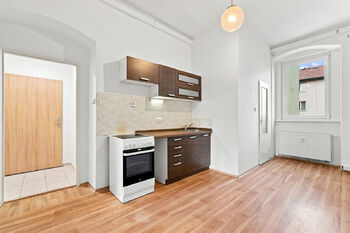 Pronájem bytu 1+1 v osobním vlastnictví 50 m², Plzeň