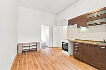 Pronájem bytu 1+1 v osobním vlastnictví 50 m², Plzeň