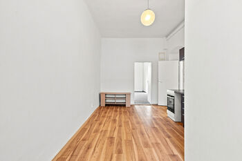 Pronájem bytu 1+1 v osobním vlastnictví 50 m², Plzeň