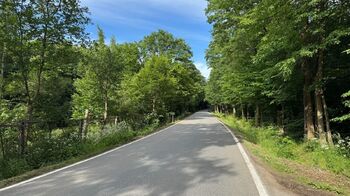Prodej ubytovacího zařízení 2000 m², Olomouc