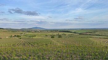 Prodej ubytovacího zařízení 2000 m², Přerov