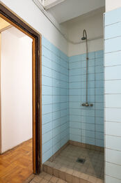 +420 739 604 767 I www.vaclavadamcik.cz I vaclav.adamcik@re-max.cz - Prodej jiných prostor, Háj ve Slezsku