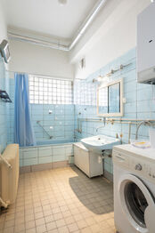 +420 739 604 767 I www.vaclavadamcik.cz I vaclav.adamcik@re-max.cz - Prodej jiných prostor, Háj ve Slezsku