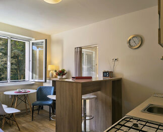 Prodej bytu 1+1 v osobním vlastnictví 36 m², Loket